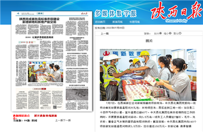 AG尊时凯龙人生就搏西北集团珑樾府项目高温慰问——《陕西日报》